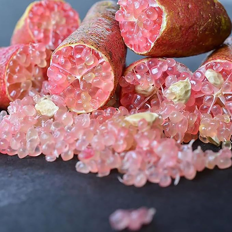 Semillas de lima dedo Citrus Australasica Caviar de lima utilizada como complemento para ensaladas Jardín Exterior