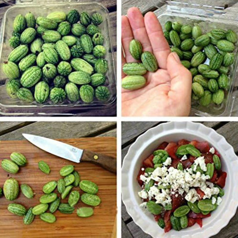 Mini Thumb Watermelon Fruit Vegetables Seeds