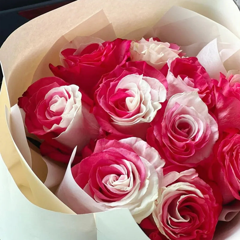 Semillas de rosa blanca fucsia - Cozy Beauty