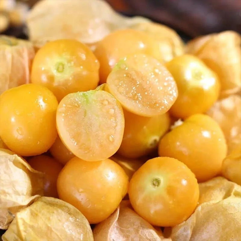 Physalis Peruviana Fruit-Lantern Fruit Seeds