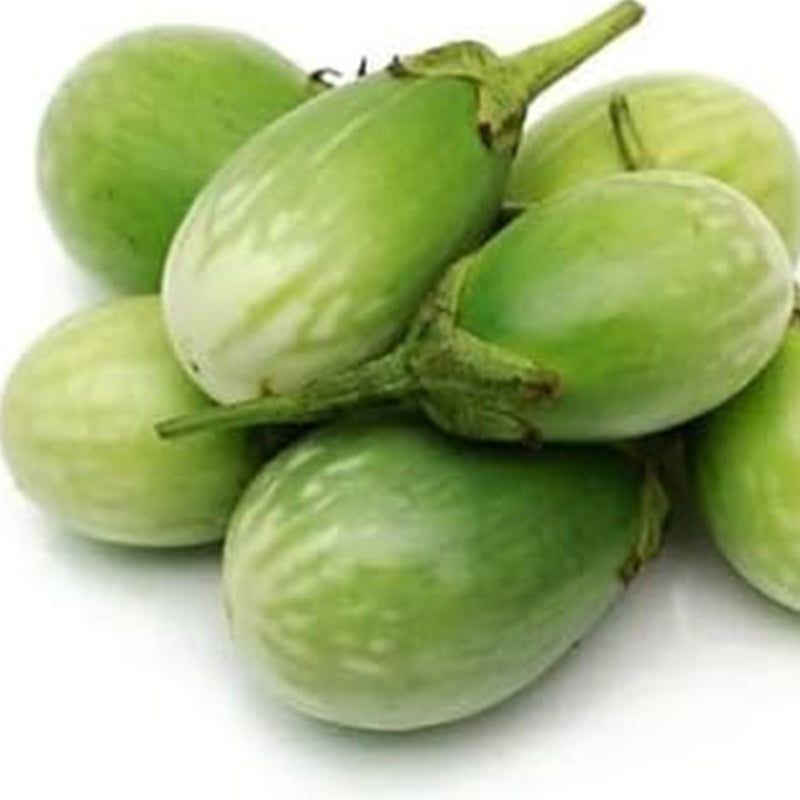 Semillas de berenjena