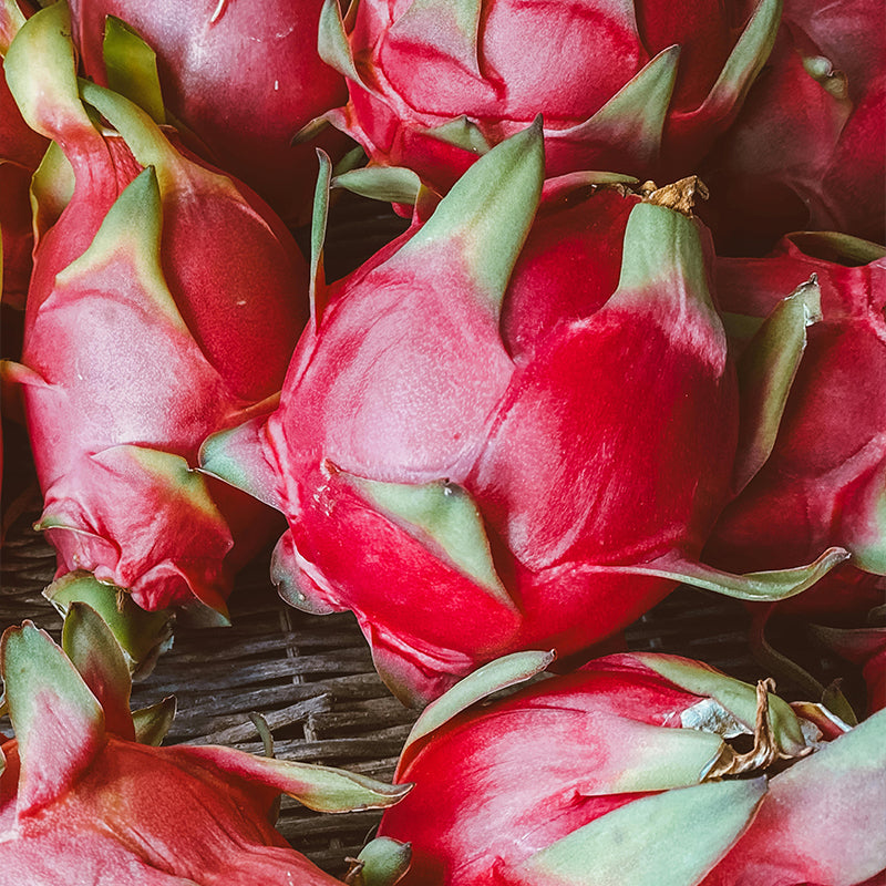 Semillas de fruta del dragón, Hylocereus triangularis: deliciosa fruta y fragantes flores que florecen de noche