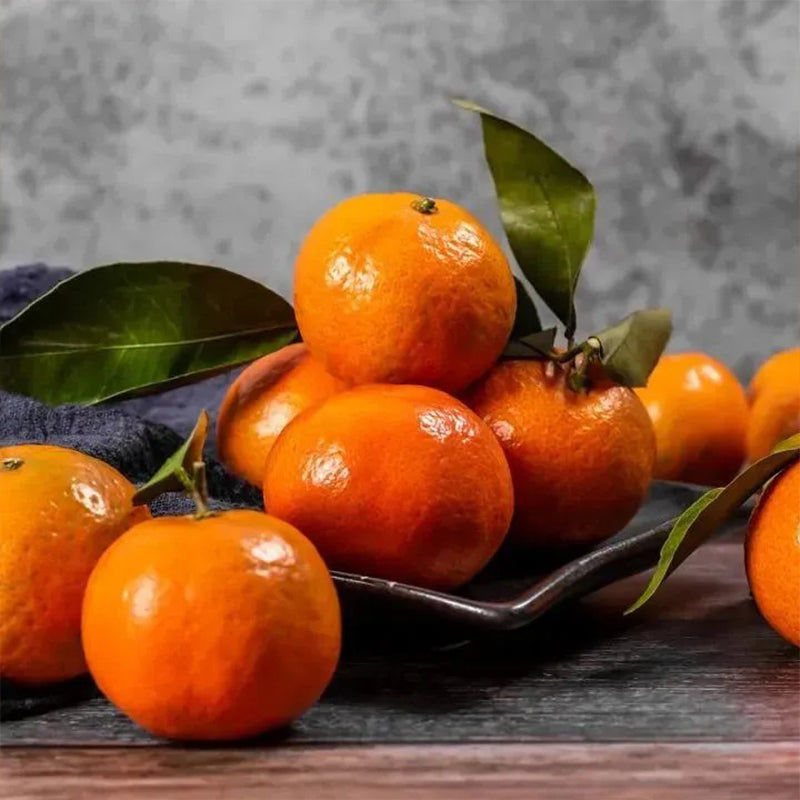Potted Sugar Tangerine Seeds