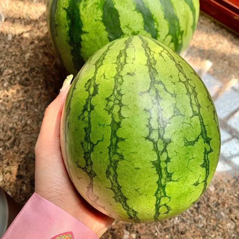 Lazy Man's Watermelon Seeds