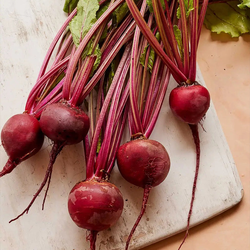 Remolacha, Detroit Rojo Oscuro Medio Superior