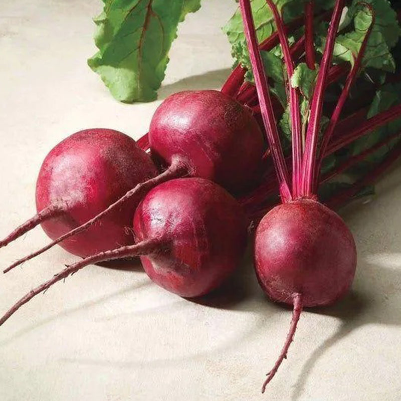Beet Seeds