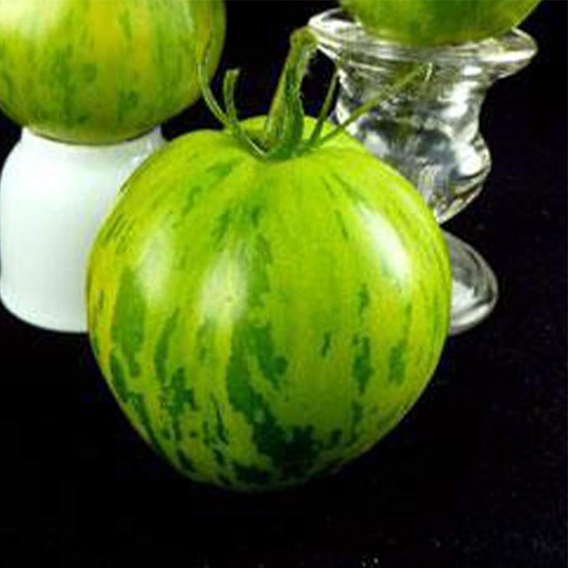 Semillas de tomate cebra verde, polinización abierta, sin OGM, semillas para huertos y huertos agrícolas