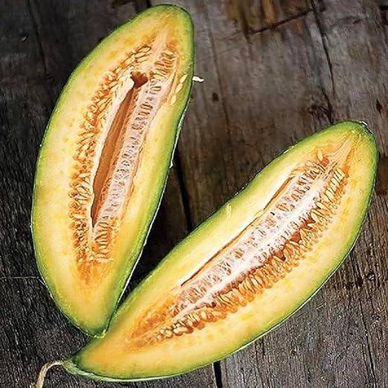 Rare Banana Melon Seed Exotic Charm Sweet Fruit Unique Flavor
