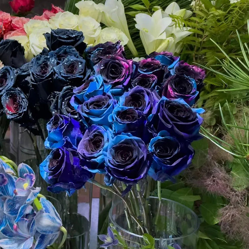 Rosas del cielo estrellado