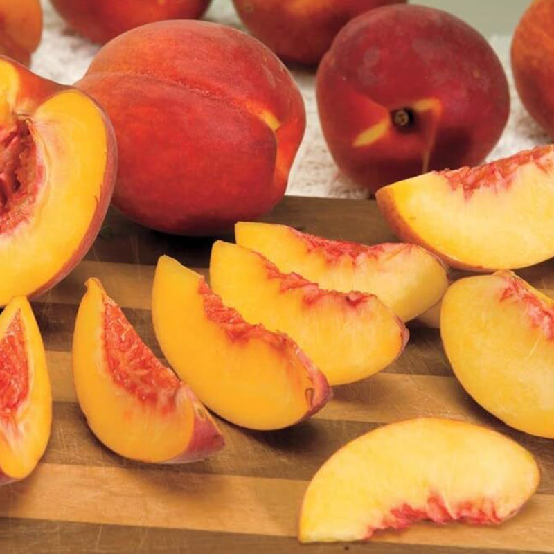 Nemaguard Peach Fruit Tree Seeds for Planting Outdoor- Perennial Fruit Seeds Tasty Sweet Great Home Garden Gift