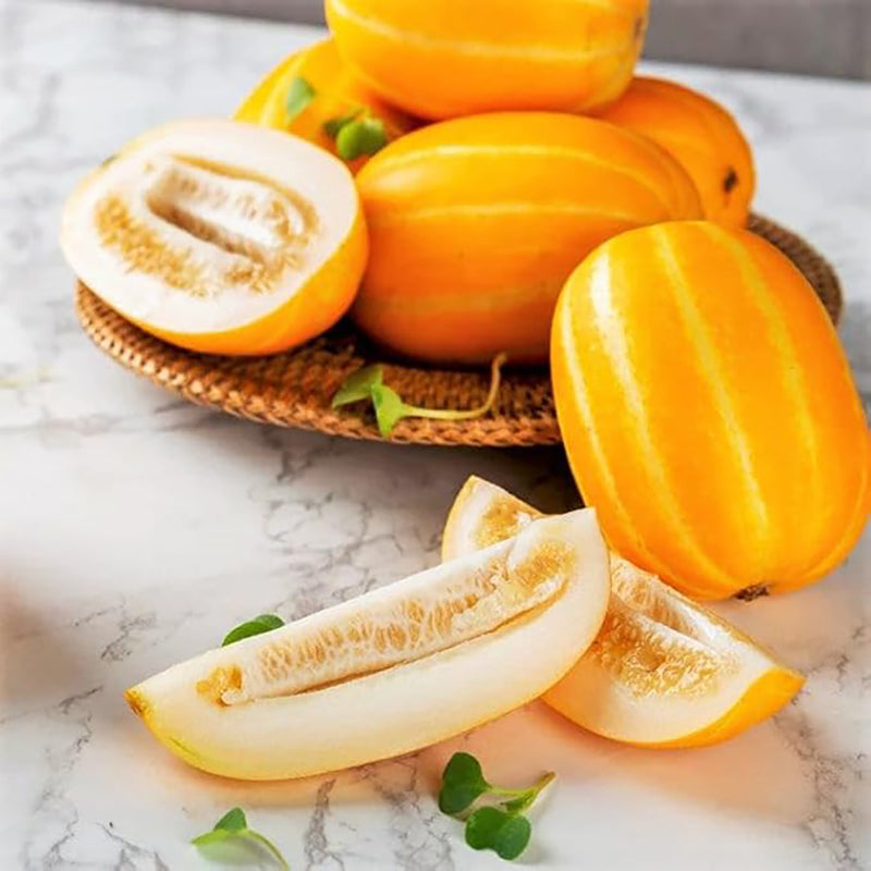 Semillas de melón coreano Chamoe Amarillo Blanco Melón oriental japonés Ginkaku Makuwa Fruta asiática de jardín