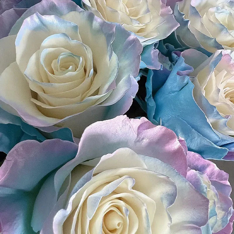 Rare Rose - Fairy Tale