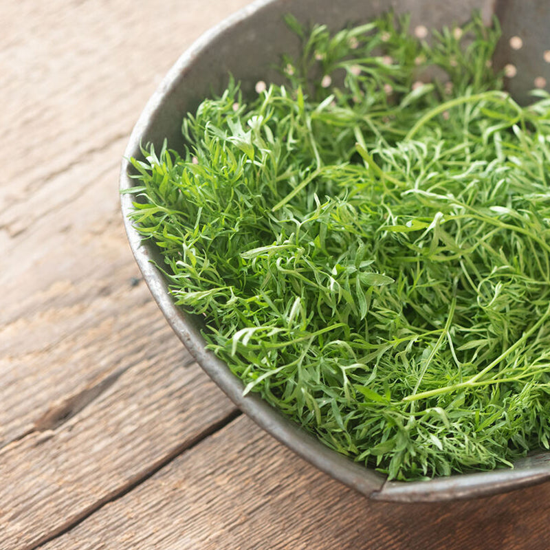 Confeti de semillas de cilantro