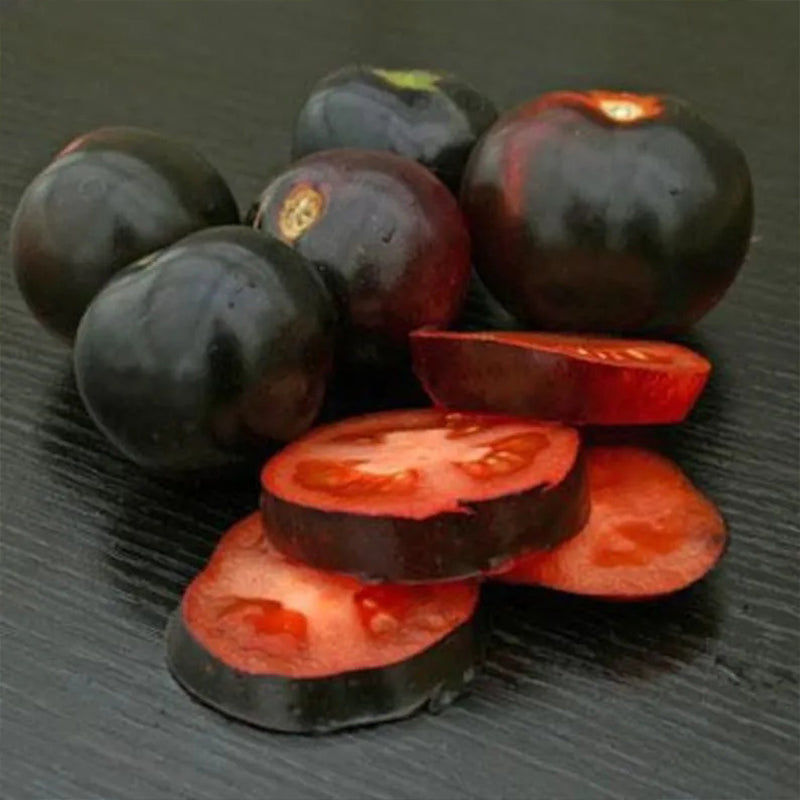 Semillas de tomate orgánico de rosa índigo, Solanum lycopersicum