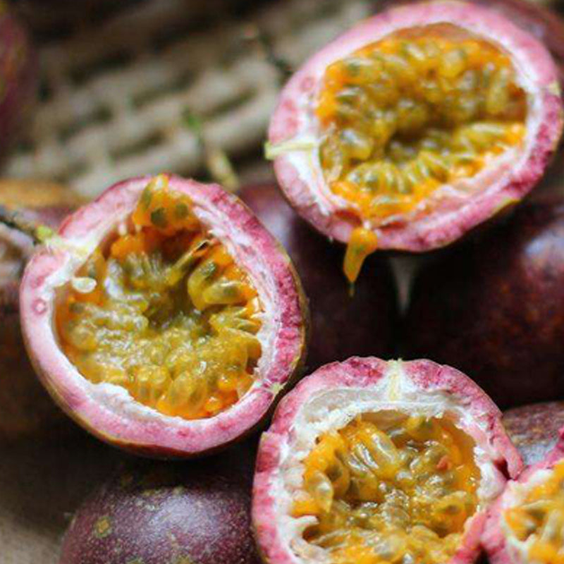 Semillas de maracuyá tropical para plantar al aire libre: semillas de pasiflora sin OGM para bonsáis en el patio trasero