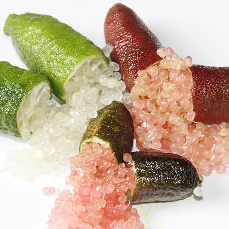 Semillas de lima dedo Planta perenne de hoja perenne, sin OGM, que se extiende y requiere poco mantenimiento para cocinar en el jardín Semillas de frutas