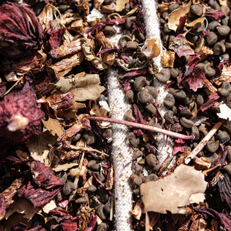 Semillas de flor de hibisco y roselle