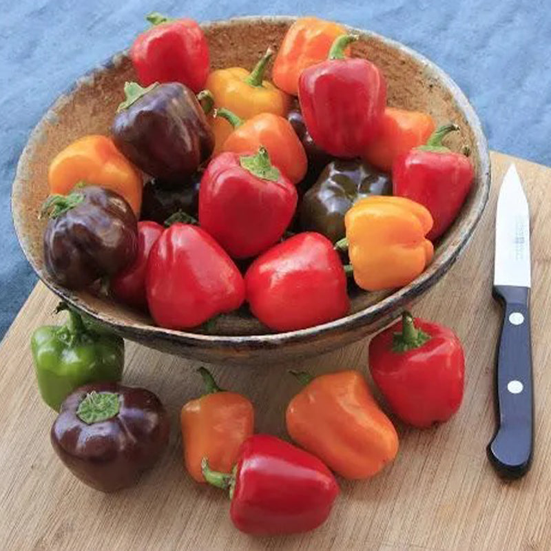 Mini pimientos de chocolate orgánico