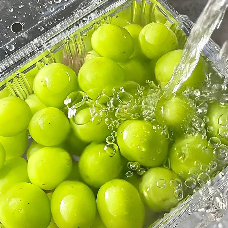 Semillas del árbol de moscatel Shine: uva Sunshine Rose (se puede plantar en macetas)