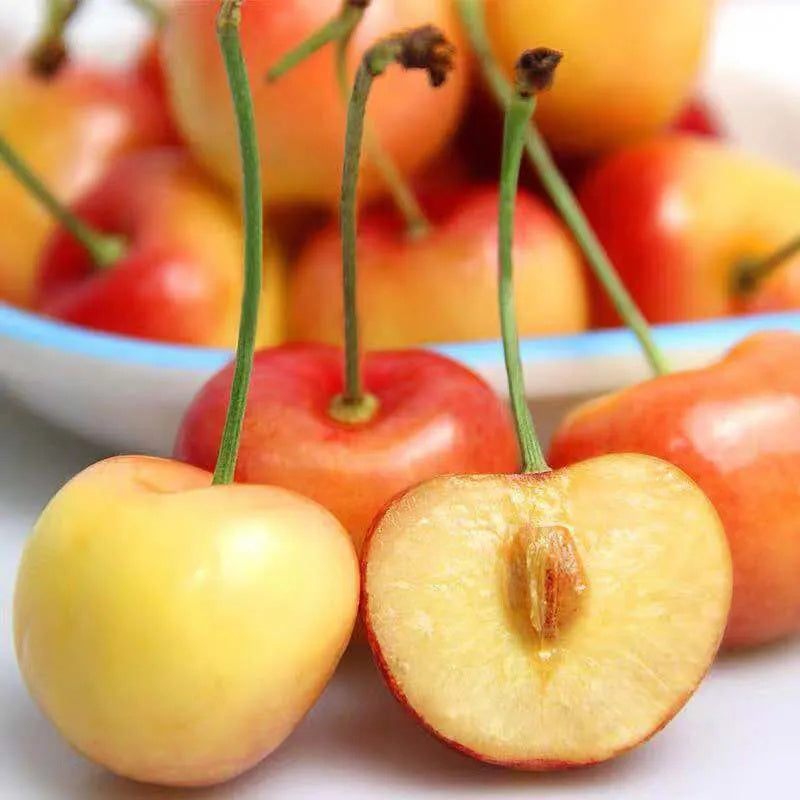 Semillas de cereza dorada