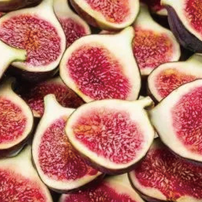 Fig Tree Seeds (Ficus carica), Sweet Fruit Shrub
