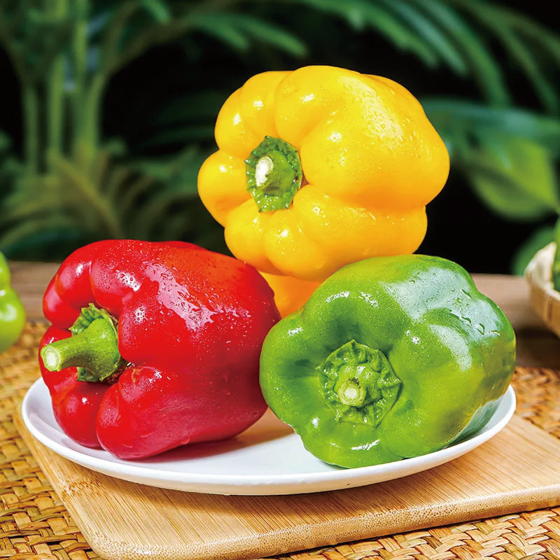 Colorful Sweet Pepper Seeds Organic