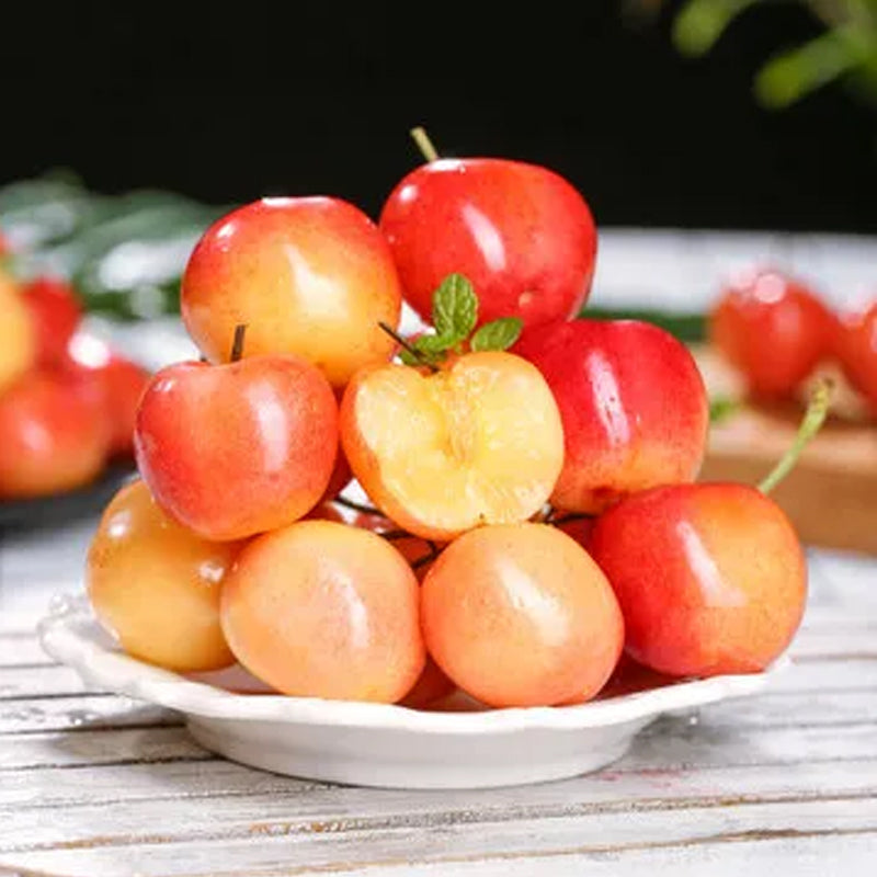 Rainier Cherry Fruit Seeds(Can be planted in winter)
