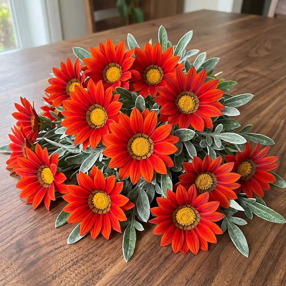 Sunflower Seeds Annual Red Blooms with Dark Center Ring