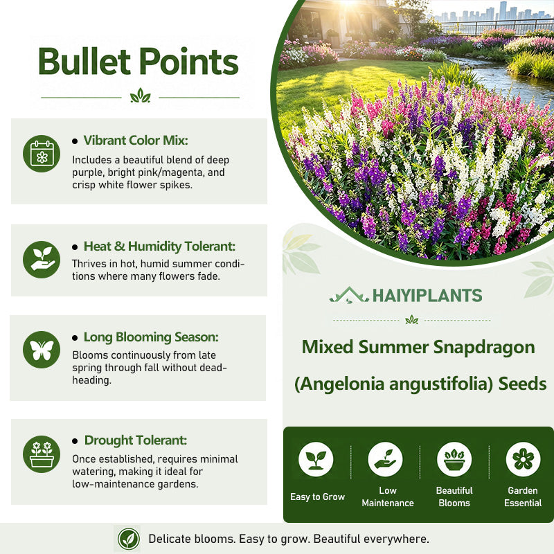 Mixed Summer Snapdragon (Angelonia angustifolia) Seeds