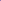 Purple Teddy Bear Sunflower Seeds