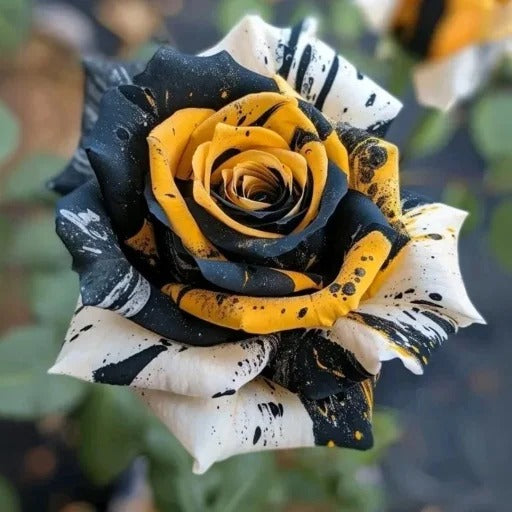 Starlight Mottled Rose Seeds- Rare Multicolor