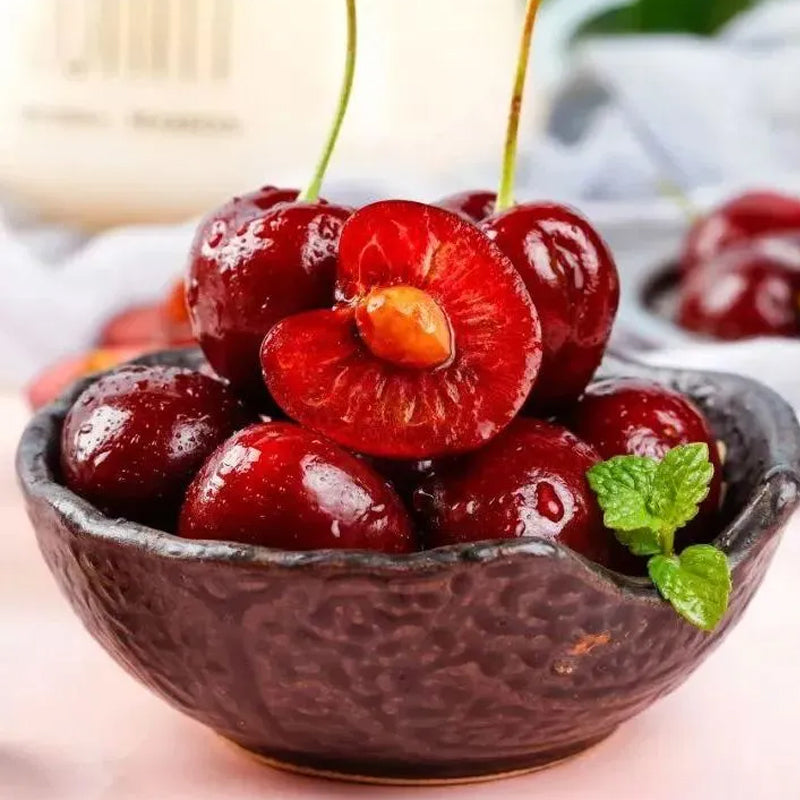 Rainier Cherry Fruit Seeds(Can be planted in winter)