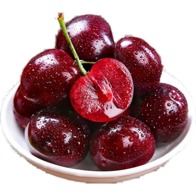 Rainier Cherry Fruit Seeds(Can be planted in winter)