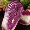 Semillas de col morada orgánica