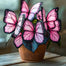 Butterfly Begonia: Unleash Whimsy in Your Garden!