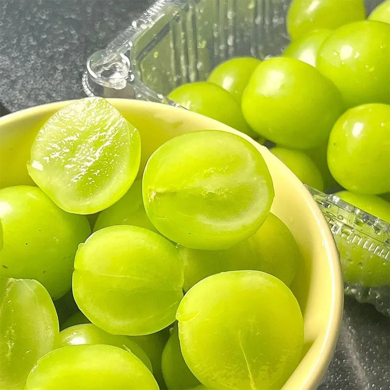 Semillas del árbol de moscatel Shine: uva Sunshine Rose (se puede plantar en macetas)