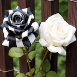 Rosas gemelas blancas y negras raras