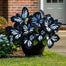 Butterfly Begonia: Unleash Whimsy in Your Garden!