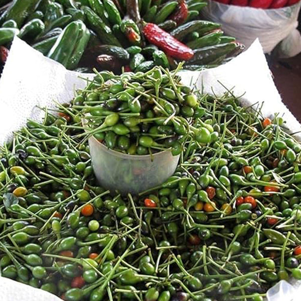 Chile Pequin Peppers - Tiny brilliantly red Chile Peppers - They Pack a Punch!!