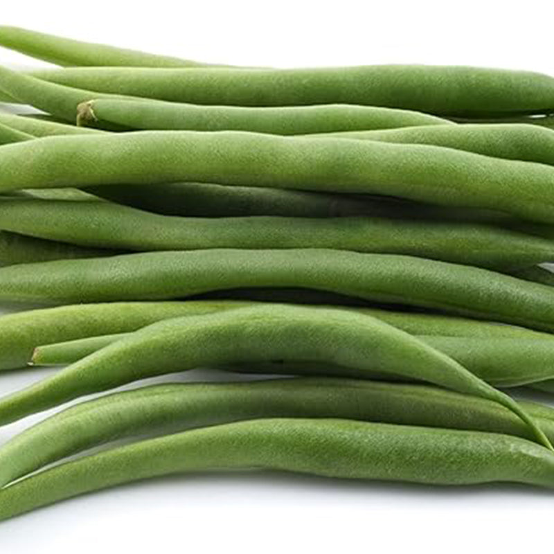 Green Bean Seeds for Planting Bush Bean - Vegetable Seeds for Planting