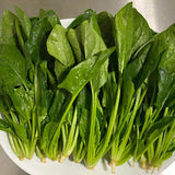 Ruby-Stem Spinach Seeds