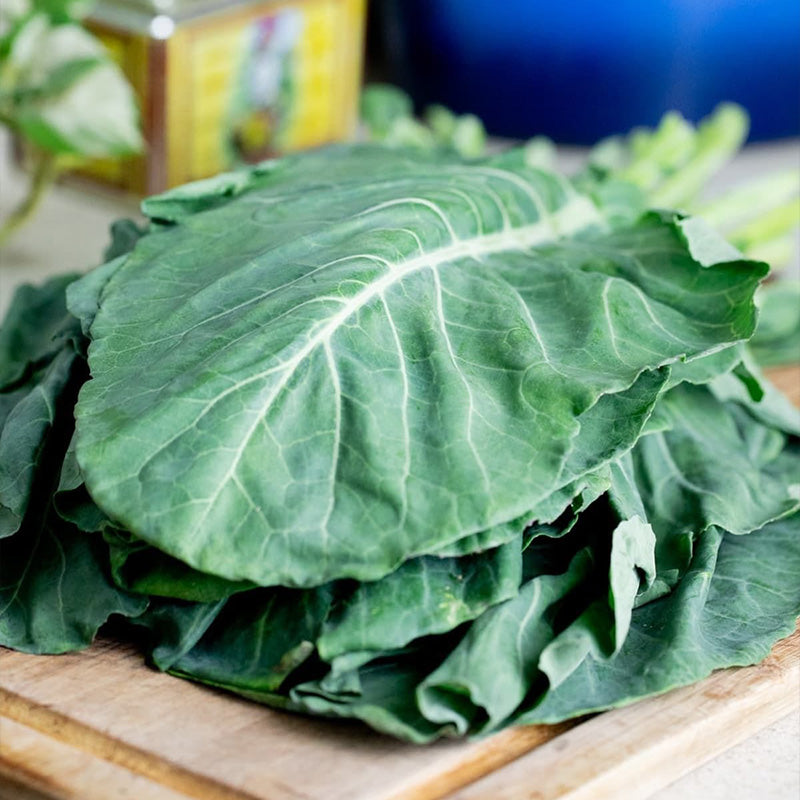 Heirloom Flat-Leaf Kale Seeds