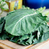 Heirloom Flat-Leaf Kale Seeds