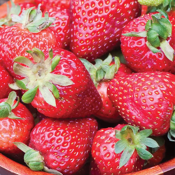 Strawberry, Seascape