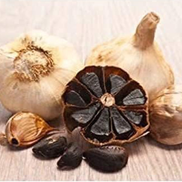 Black Garlic Seeds Organic Vegetables  Home Gardening Planting