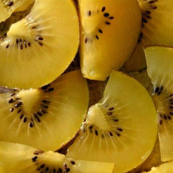 Golden Kiwi Fruit Yellow Actinidia Chinensis Kiwifruit Gooseberry Vine Seeds