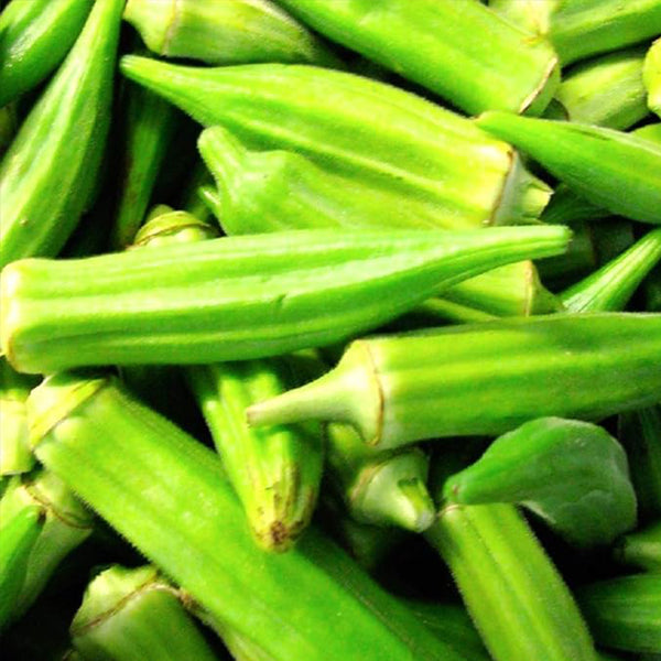 Clemson Spineless Okra Seeds Fresh Garden Seeds