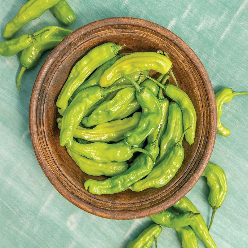 Pepper, Hot, Dragon Roll Hybrid