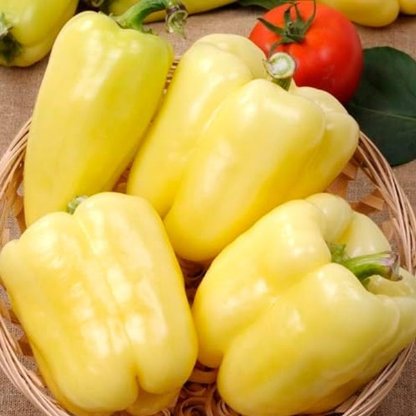 Pepper Vegetable Seeds