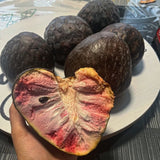 San Pablo Custard Apple Rare Fruit Seeds